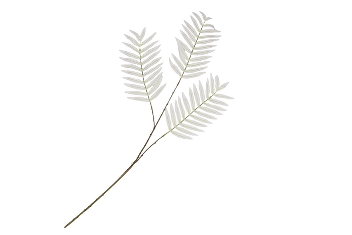 <h4>Silk Palm Leaf White 87cm</h4>