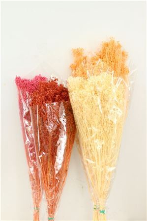 <h4>Dried Brooms Mix Bunch</h4>