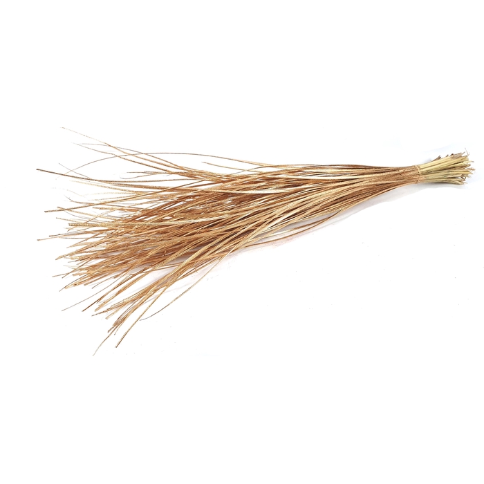 <h4>Palm ting ting straight 5pc tuft Antique Gold</h4>