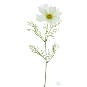 SILK FLOWERS - COSMOS SPRAY WHITE 71CM