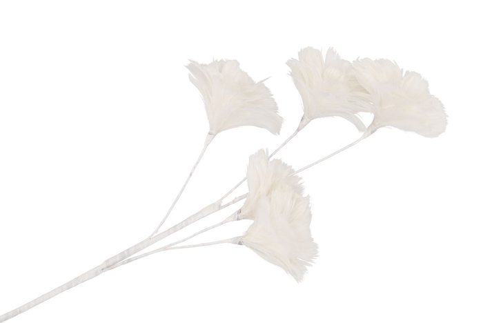 <h4>Silk Feather Flower White 5 Op Steel 85cm Nm</h4>
