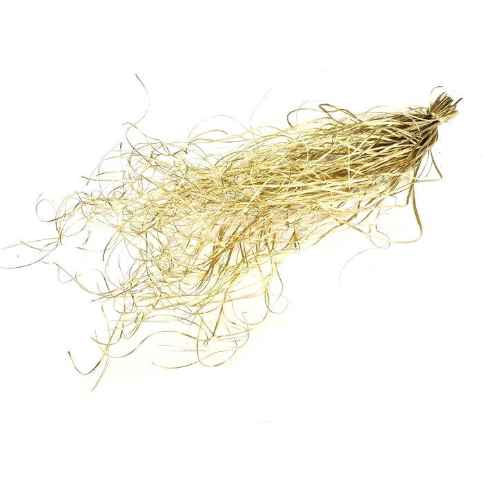 <h4>Beargrass dried per bunch Gold</h4>