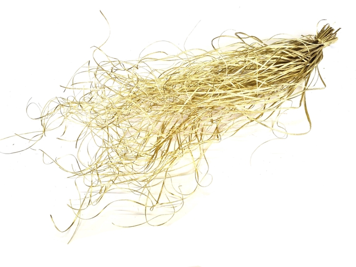 Beargrass dried per bunch Gold
