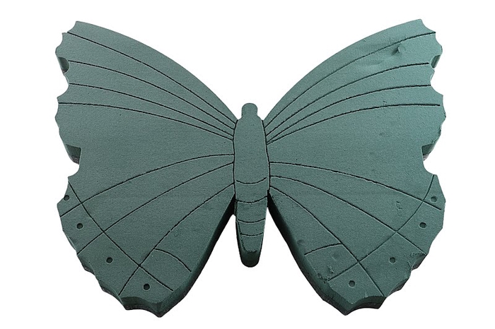 <h4>Oasis Butterfly Foam Frames 58x44cm</h4>
