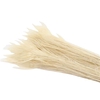Feather Peacock Bleached L-90-100cm
