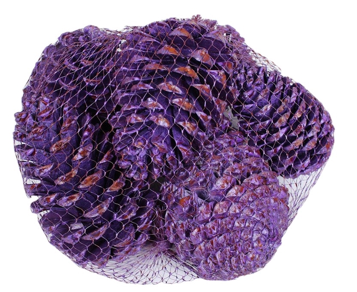 Maritima 14-18cm 6 pc in net purple pearl