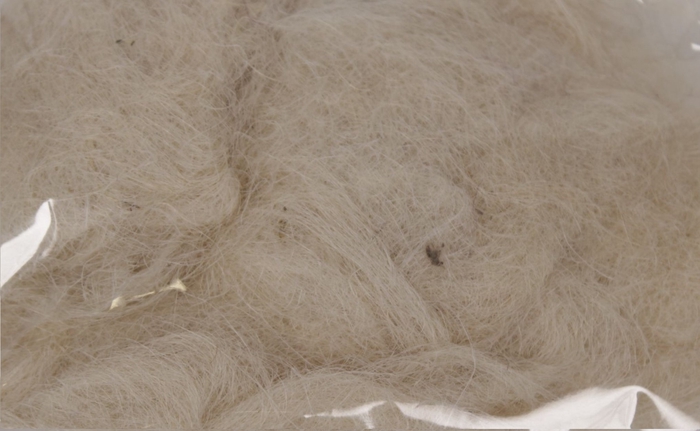 Fuzzy fibre 250 gram in poly Bleach Natural