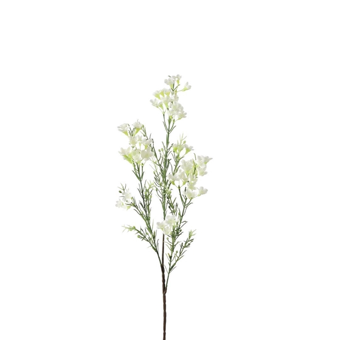 Kunstbloemen Wax flower 67cm x3