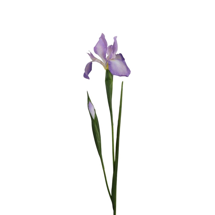 <h4>Kunstbloemen Iris 75cm</h4>