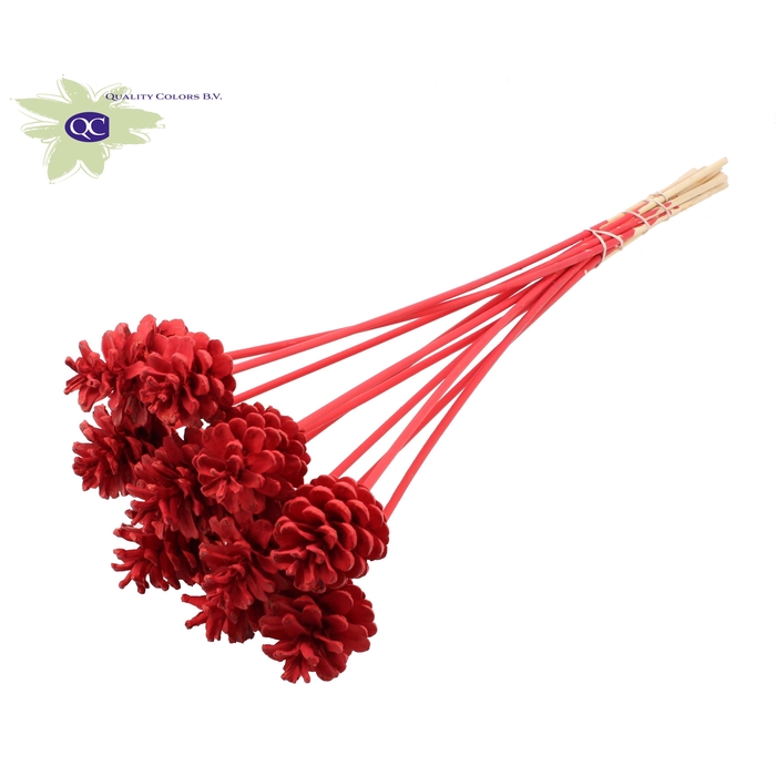 <h4>Pine cone 5-7cm on stem Covered Red</h4>