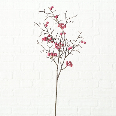 Zijde, Acerola kers, H 75 cm, 1 ass, Rose