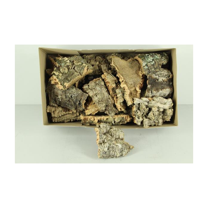 <h4>Cork Pieces 10x15cm Box</h4>