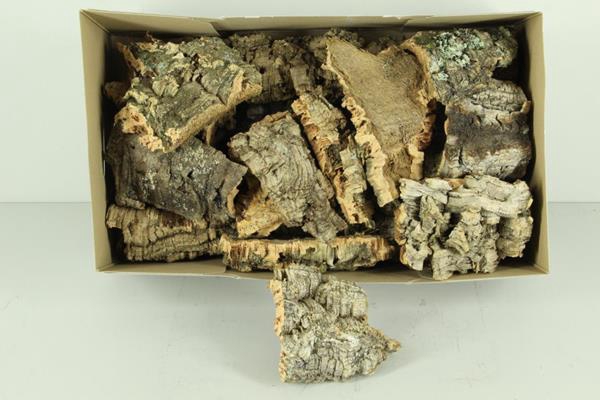 Cork Pieces 10x15cm Box