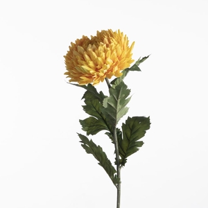 Af Chrysanthemum L75cm Yellow