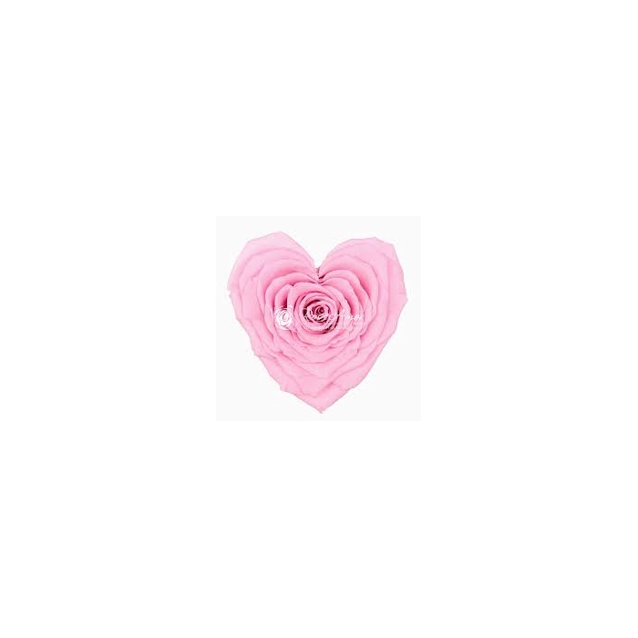 <h4>PRESERVED ROSES HEART XXL PIN-04</h4>