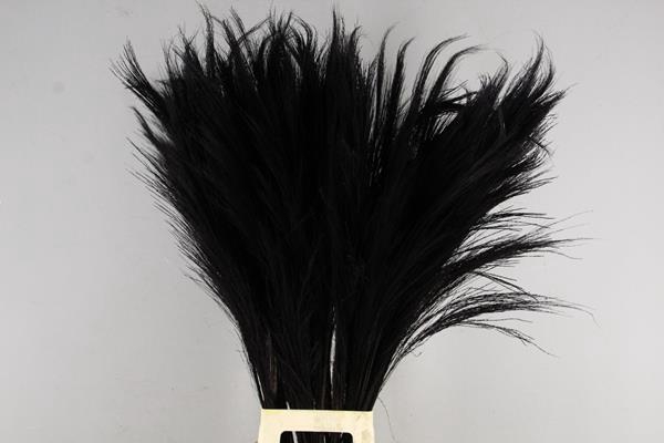<h4>Df Broom Grass 110cm Bs Black</h4>