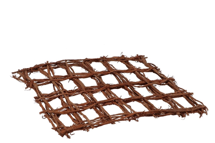 <h4>Nature Browny Net Brown 40x50cm Set Of 10</h4>