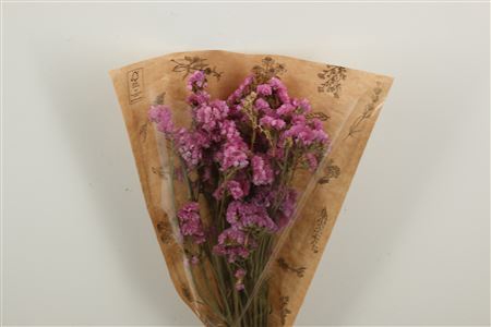 <h4>Dried Limonium Statice Pink Bunch</h4>