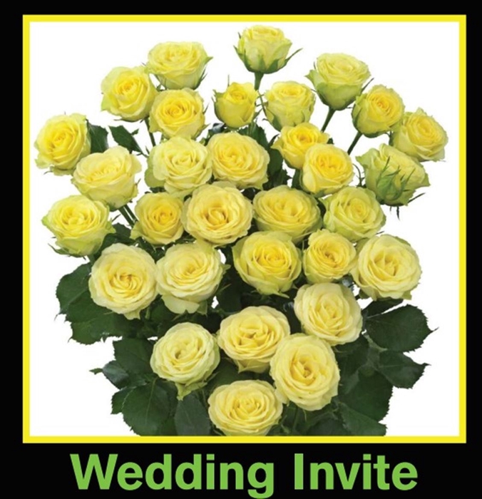 <h4>R Tr Spray Wedding Invite</h4>