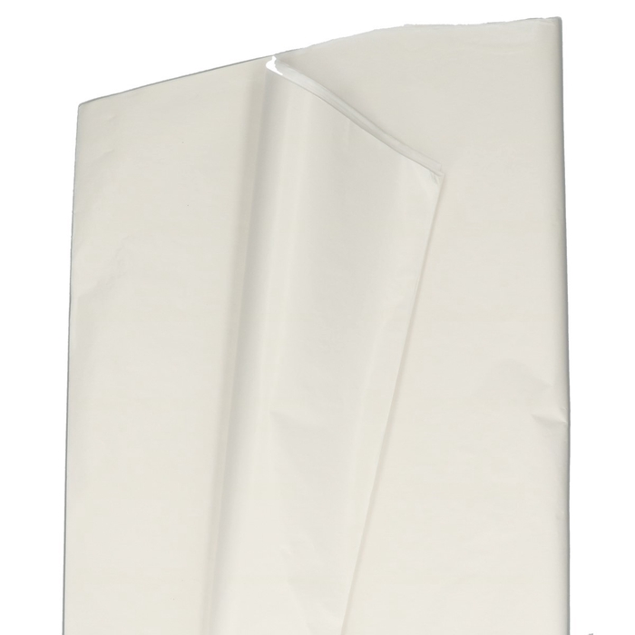 <h4>Paper sheet white 62 85cm</h4>