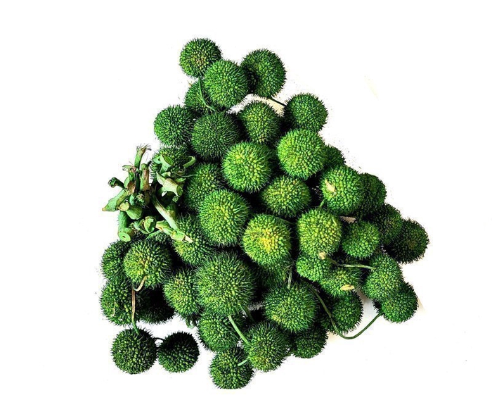 Small ball per bunch in poly moss green