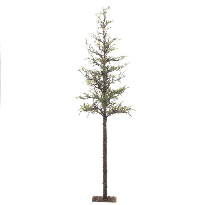 <h4>Af Larix Tree Stm 220cm</h4>