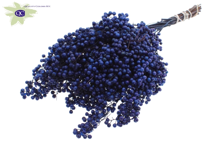 <h4>Pepperberries per bunch in poly dark blue</h4>