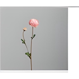 Af Chysanthemum L63cm Pink