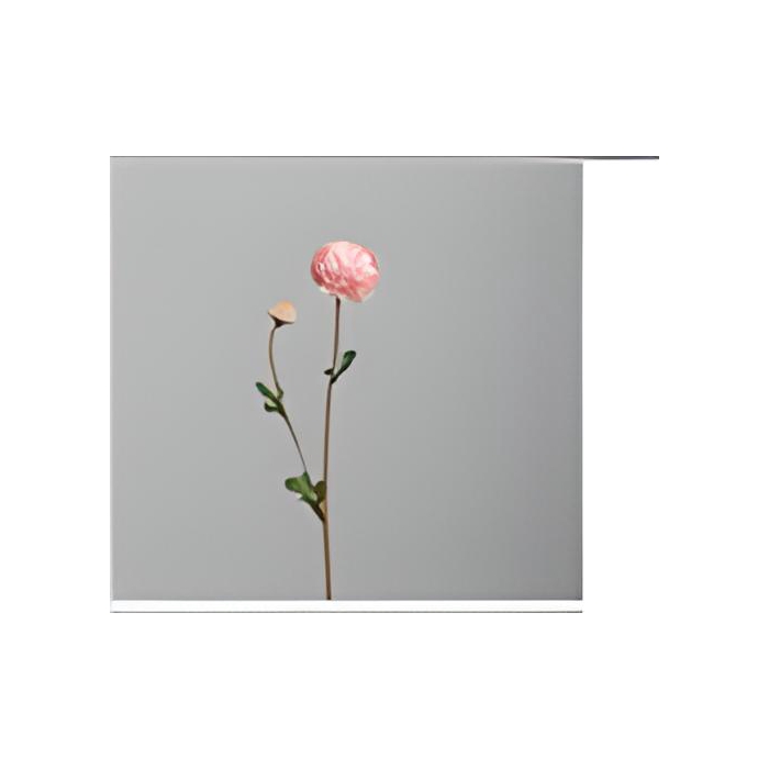 <h4>Af Chysanthemum L63cm Pink</h4>