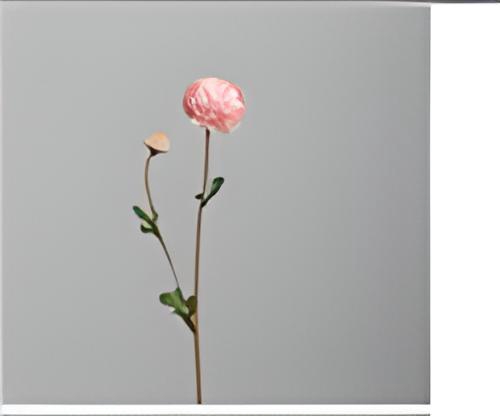 Af Chysanthemum L63cm Pink