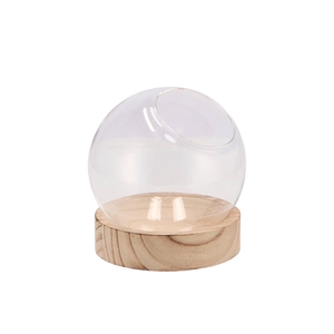 Glass Vase On Wood Sphere 13x13cm