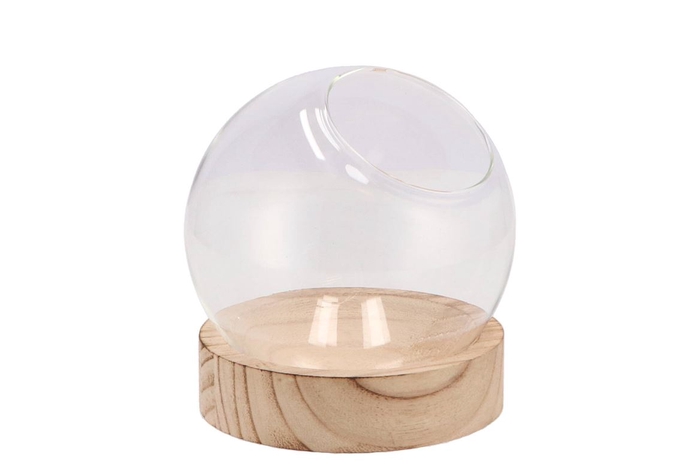 Glass Vase On Wood Sphere 13x13cm
