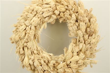 <h4>Wr Dried Plume Thistle Dill 45cm Bleached (16)</h4>