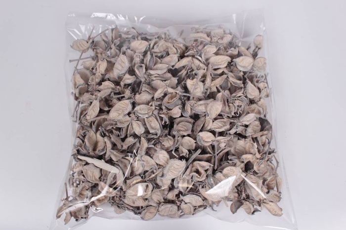Cotton pods 250gr in poly frosted white
