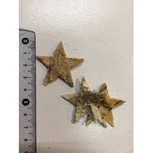 birch star 4cm 25pcs