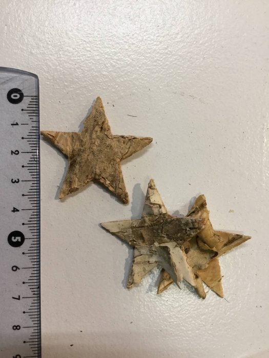 birch star 4cm 25pcs