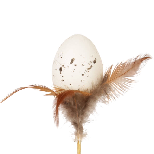 <h4>Bijsteker Egg+Feather 6x4cm+12cm stok</h4>