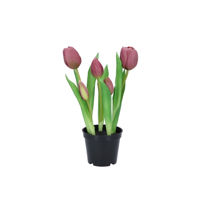 <h4>Silk Tulip In Pot 5x Mauve 26cm</h4>