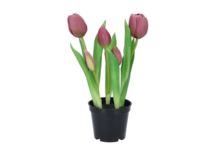 <h4>Silk Tulip In Pot 5x Mauve 26cm</h4>