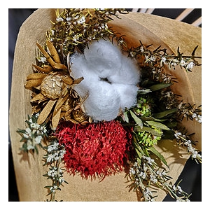 Xmas - Christmas Cotton SFB