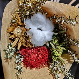 Xmas - Christmas Cotton SFB