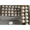 Egg Duck Natural Box(12pcs)