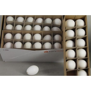 Egg Duck Natural Box(12pcs)