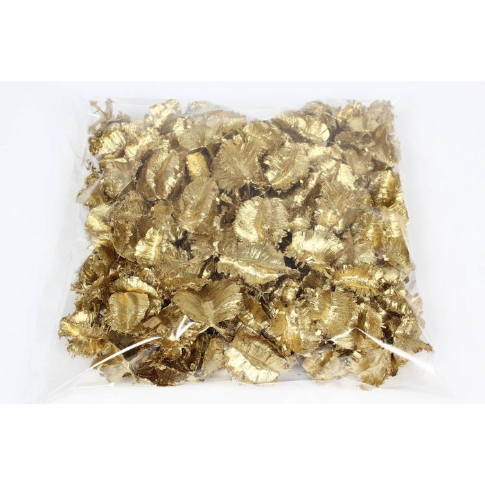 <h4>Arjun large 250gr in poly Gold</h4>