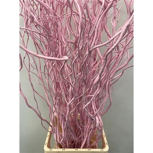 Salix 130cm Light Pink