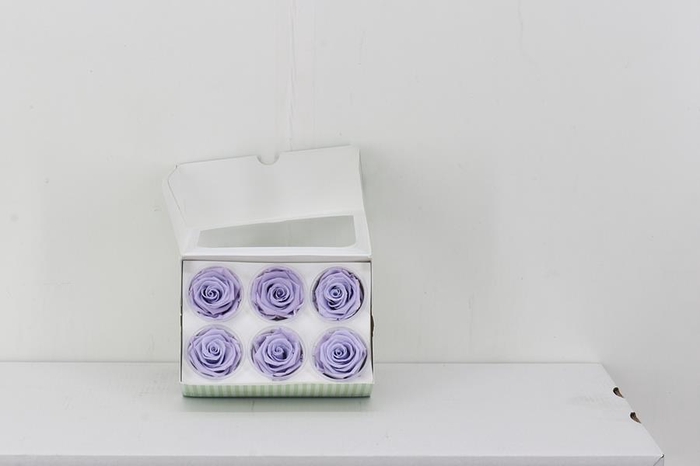 <h4>Rosa Preserved Lavendel</h4>