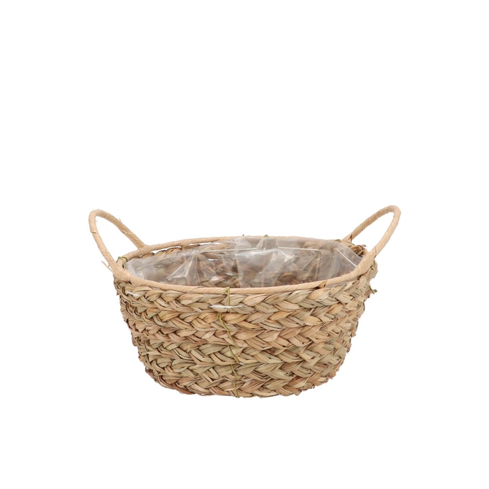 <h4>Seagrass Levi Basket Bowl Natural 19x9cm</h4>
