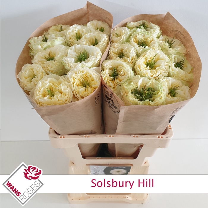 <h4>Rs gr Solsbury Hill</h4>