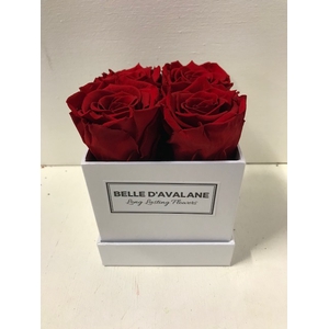 Flowerbox vk 10cm wit/rood
