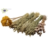 Dutch dried flowers mix 6 bunch various products n